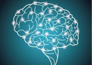 Verdens største studie på intelligens