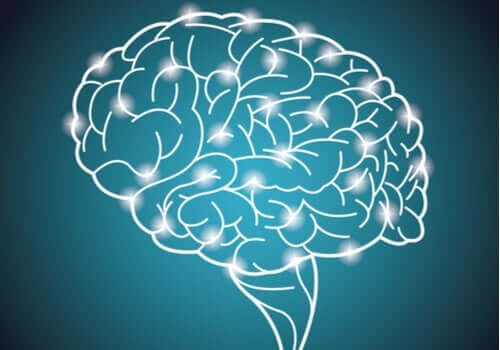 Verdens største studie på intelligens