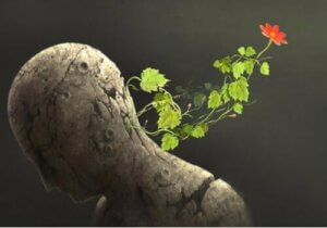 Bli antiskjør - Navigere i usikkerheten