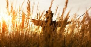 Å bruke stråmannsforslag for problemløsning