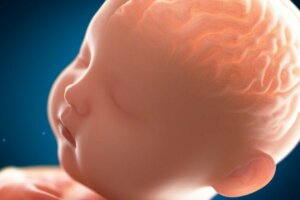 Pakygyri: Den "glatte" hjernen