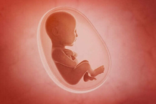 Sensorisk utvikling hos ufødte og nyfødte babyer