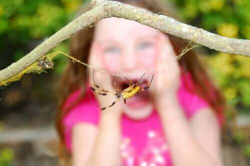 Barn som er redd for edderkopper.