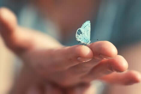 En person som holder en sommerfugl.