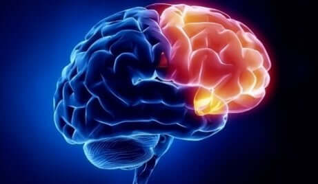 Et bilde av en hjerne som viser området for skyld i rødt.