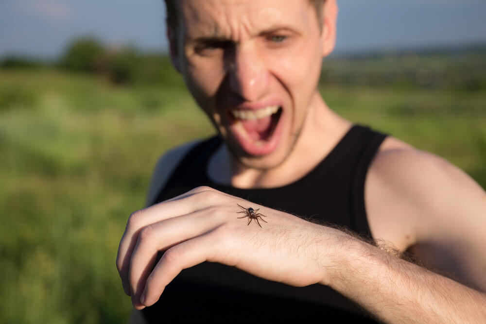 Har du araknofobi? Frykten for edderkopper