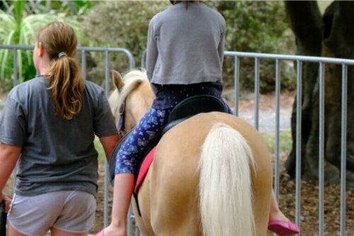 Hesteassistert terapi: fordeler, bruksområder og disipliner