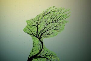 Tause traumer nedarvet fra forfedre