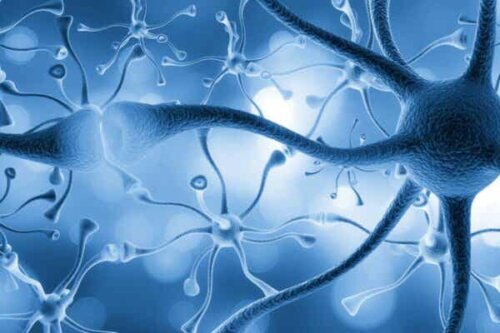 Flere sammenkoblede nevroner.