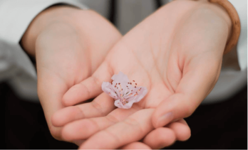 En hånd med en blomst.