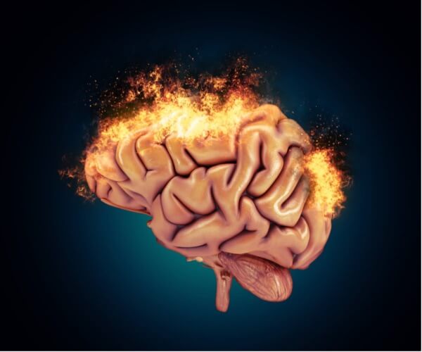 Den reaktive hjernen