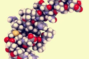 Hormonet hypokretin og dets mange funksjoner