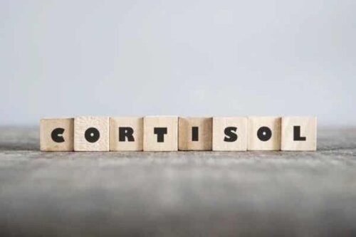 Ordet kortisol.