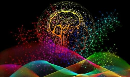 Viktigheten av hjernens unike nevrale signaturer