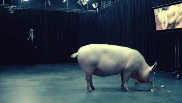 En scene fra Black Mirror