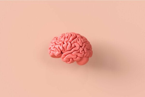 Nevroetikk, et fascinerende blikk på hjernen og moralsk atferd