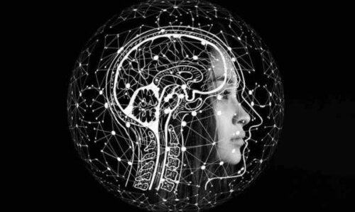 Illustrasjon av hjernen.