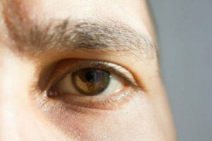 Syv kuriøse og fascinerende fakta om sansene dine