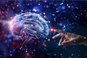 Reduser risikoen for demens med disse 12 vanene