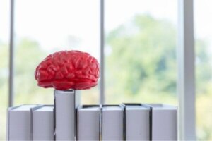 DSM og dens fascinerende historie