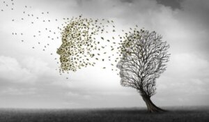 Forskjellene mellom Alzheimers og demens