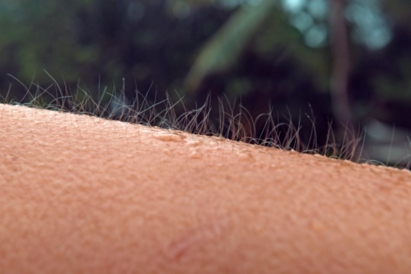 Hudorgasmer, når musikk gir deg gåsehud