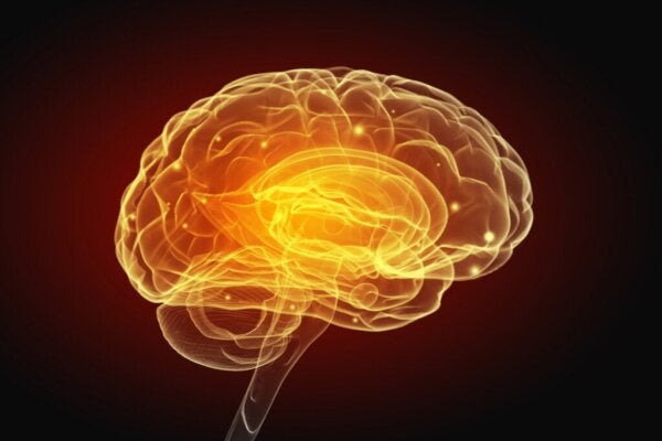hjerne som symboliserer virkningen av kunstig intelligens.