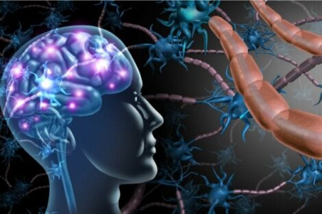 Forskjellene mellom multippel sklerose og ALS