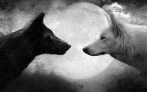 Forskjellene mellom konstruktiv og destruktiv kritikk