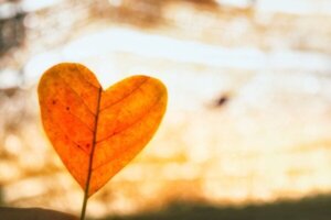 Bruk ubetinget kjærlighet for å komme over et brudd