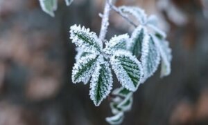 Hvordan håndtere en aleksitymisk person