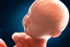Fra før fødselen til fire år er den mest avgjørende fasen for hjernen
