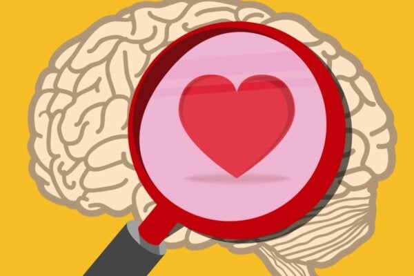Praktisk emosjonell intelligens: Oksytocin versus kortisol