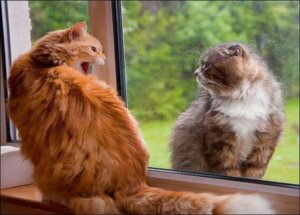 Bør du holde fiendene dine nært?