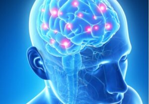 Minnebrikke for hjernen: Science fiction?