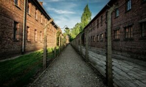 En fantastisk kjærlighetshistorie midt i grusomhetene i Auschwitz