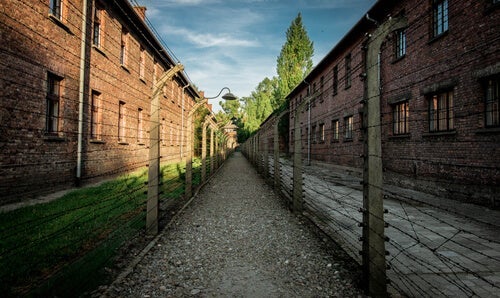 En fantastisk kjærlighetshistorie midt i grusomhetene i Auschwitz