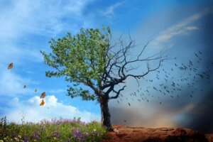 Viktigheten av miljøets helse