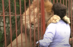 Ana Julia Torres, kvinnen som redder dyr