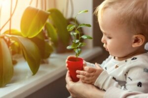 Kognitiv fleksibilitet hos babyer og hvordan du kan forbedre den