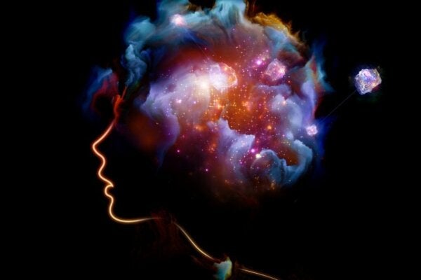 Det prediktive sinnet: Hjernens kraft til å forutsi fremtiden