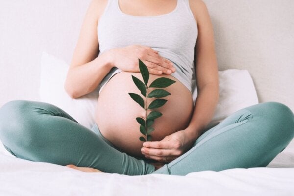 Kan babyer fÃ¸le morens fÃ¸lelser i livmoren?