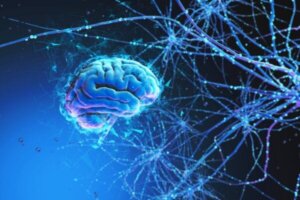 Hjernen og universet deler mange fellestrekk