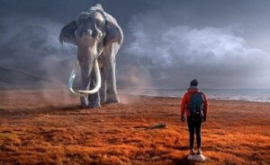 Holdningen din til problemene dine definerer deg