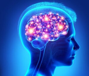 Rollen til prefrontallappen hos tenåringer