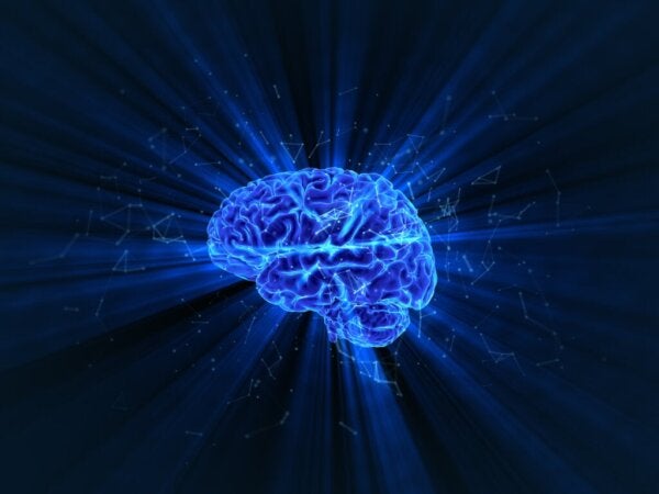 Hjernens mørke energi