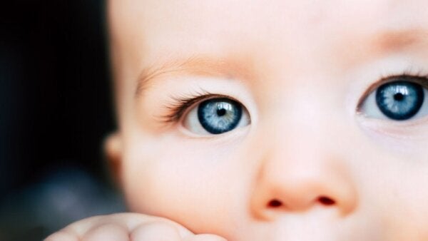 Perseptuell konstans og hva babyer kan se som vi ikke kan