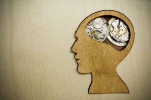 Teorien om den sosiale zeitgeber