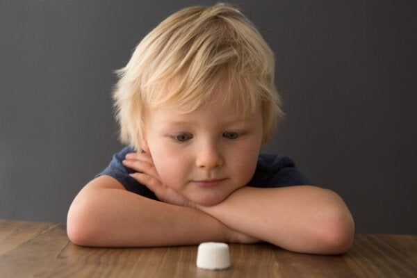 Marshmallow-testen: forskning på utsatt behovstilfredsstillelse
