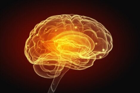 Schizofreni og vaskulære forstyrrelser i hjernen